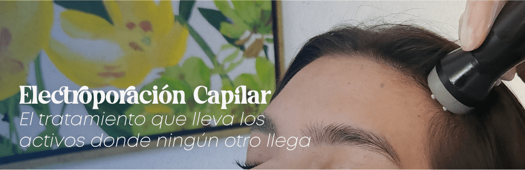 blog electroporacion